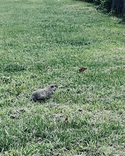 Historical Place «Fort Lee Historic Park», reviews and photos, Hudson Terrace, Fort Lee, NJ 07024, USA