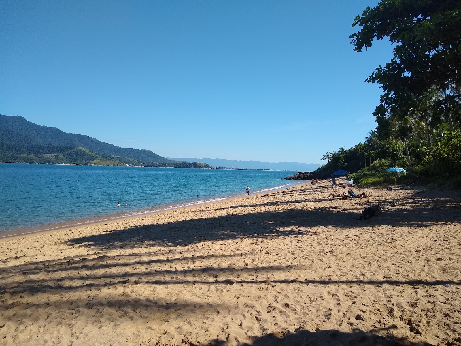 Photo de Praia da Feiticeira protégé par des falaises