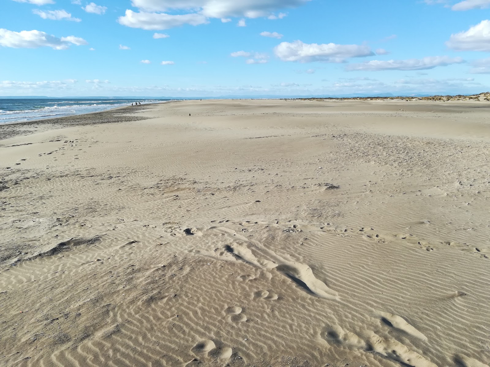 Foto de Praia Espiguette com meios de comunicação nível de limpeza
