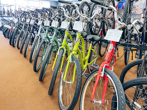 Bicycle Store «Al Petri & Sons Bicycle Center», reviews and photos, 2160 Fort St, Lincoln Park, MI 48146, USA