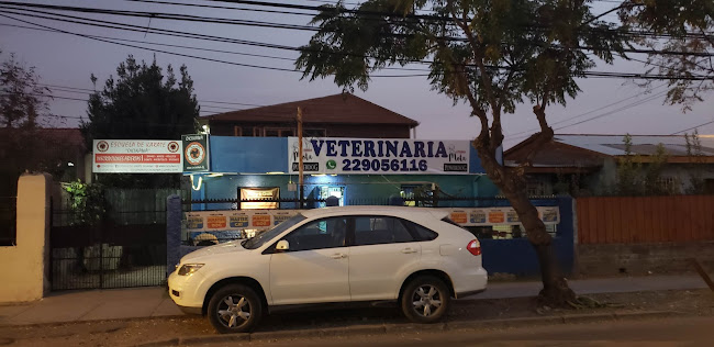 veterinaria mota - Veterinario
