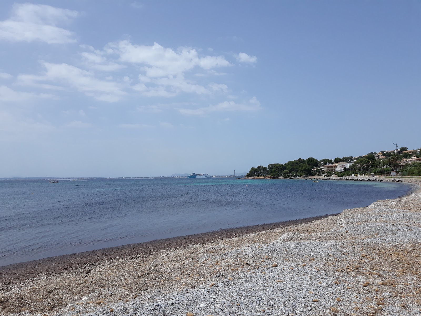 Foto de Platja d'Alcanada con muy limpia nivel de limpieza
