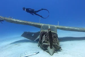 One Breath Utila Freediving - Free Dive School image