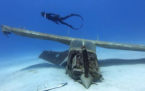 One Breath Utila Freediving - Free Dive School image