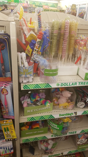 Dollar Store «Dollar Tree», reviews and photos, 6090 W 44th Ave, Wheat Ridge, CO 80033, USA