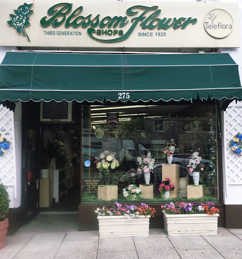 Florist «Blossom Flower Shops», reviews and photos, 275 Mamaroneck Ave, White Plains, NY 10605, USA