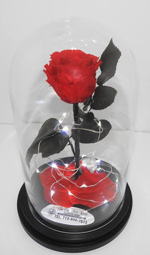 Florist «The Chocolate Rose», reviews and photos, 1609 S Richey St, Pasadena, TX 77502, USA