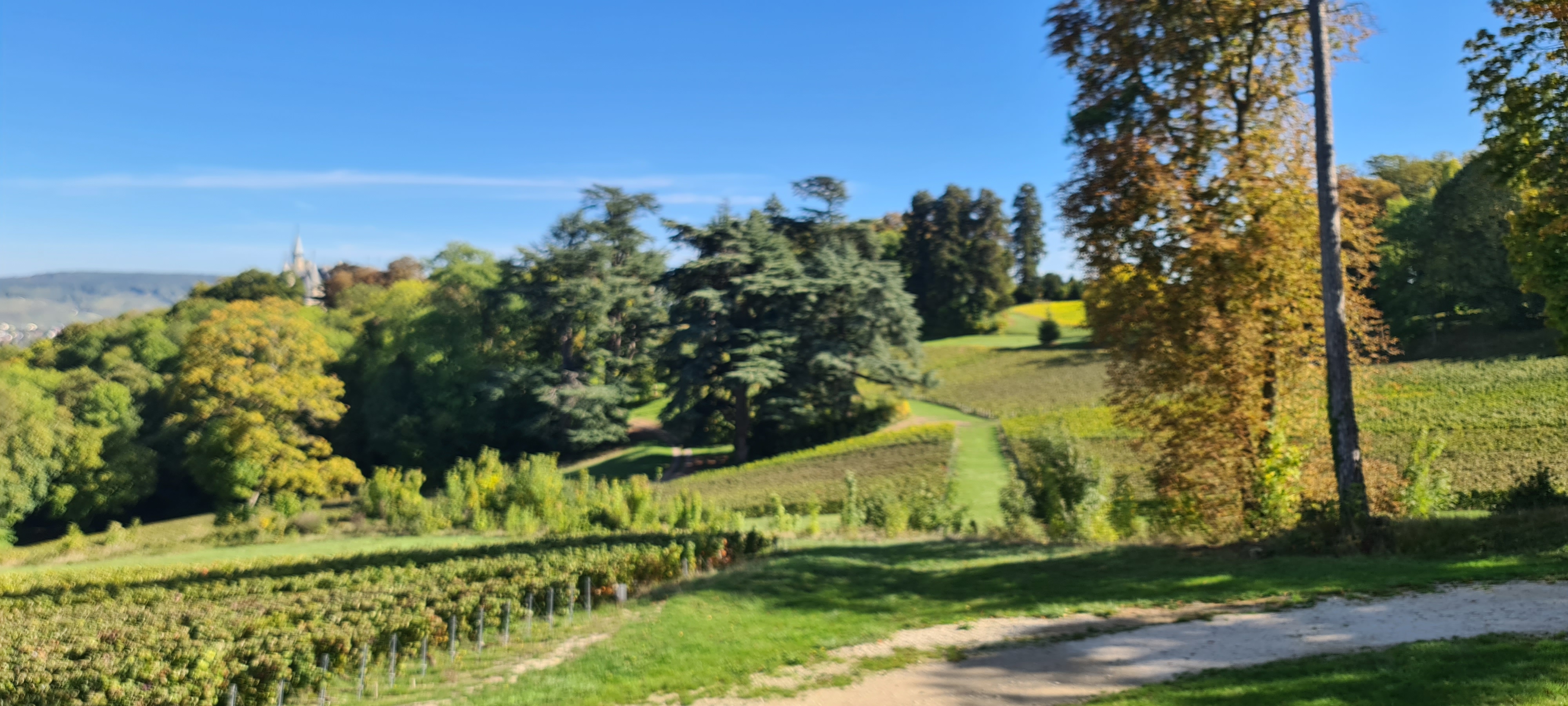Photo n° 13 de l'avis de V... fait le 04/10/2022 à 16:31