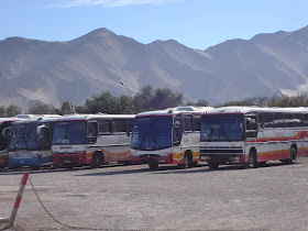 Buses Sokol