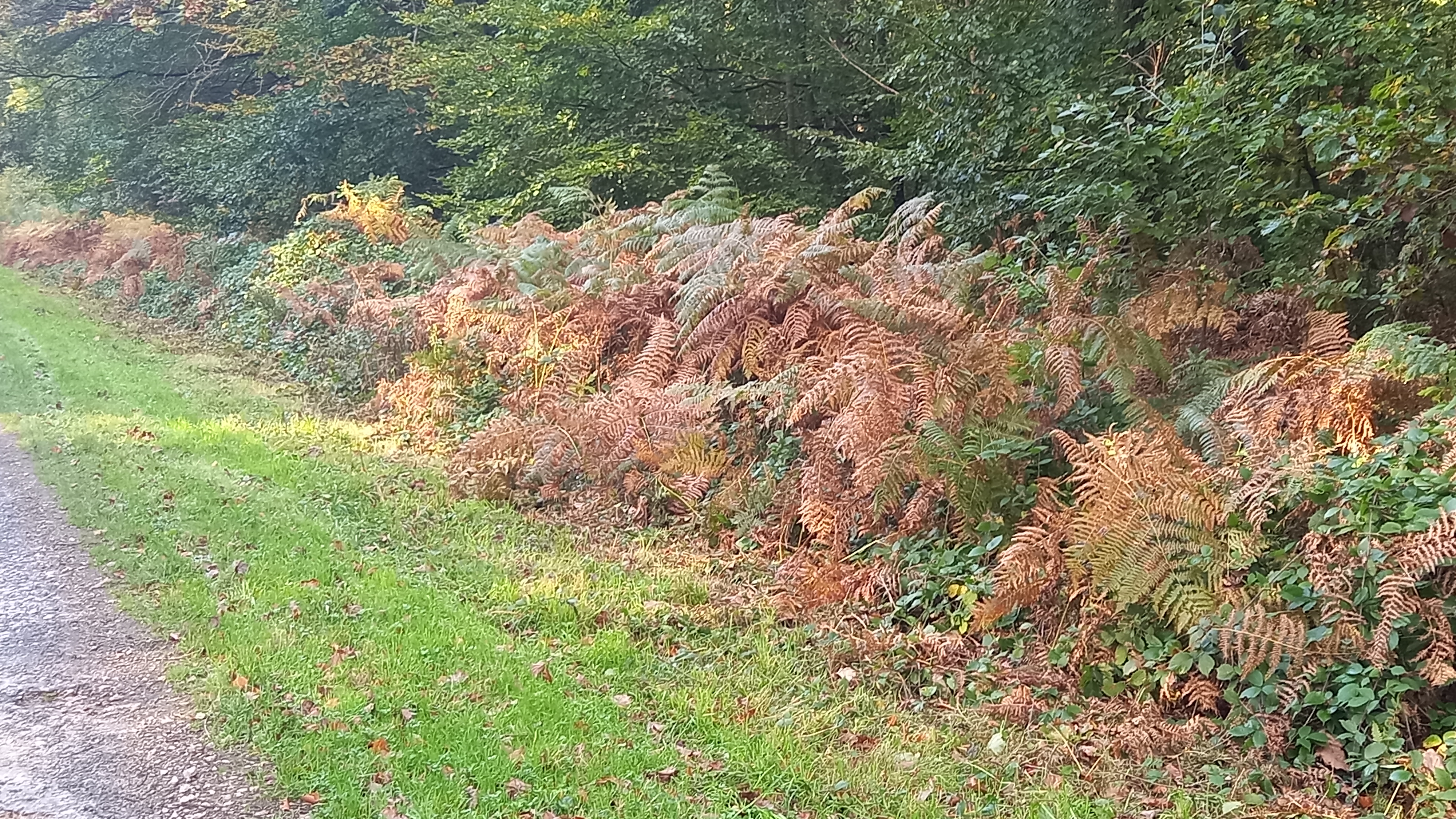 Photo n° 2 de l'avis de schneider.e fait le 27/10/2021 à 06:07