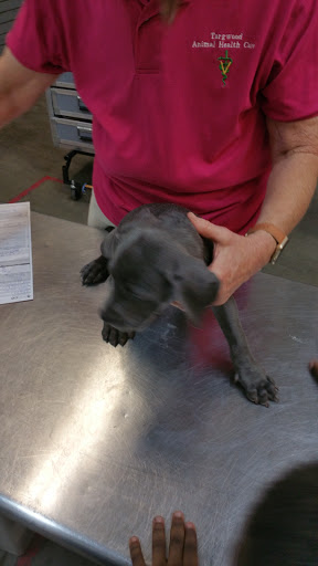 Pet Supply Store «Petco Animal Supplies», reviews and photos, 200 Center Blvd S, Christiana, DE 19702, USA