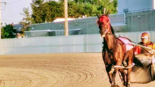 Casino «Batavia Downs Gaming», reviews and photos, 8315 Park Rd, Batavia, NY 14020, USA