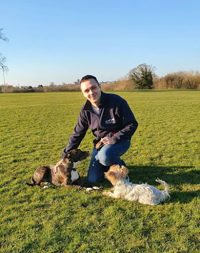 Reviews of Hertfordshire Dog Services Ltd in Watford - Dog trainer