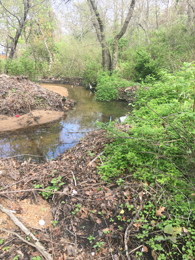 Nature Preserve «Brookside Preserve», reviews and photos, N Brookside Ave, Roosevelt, NY 11575, USA