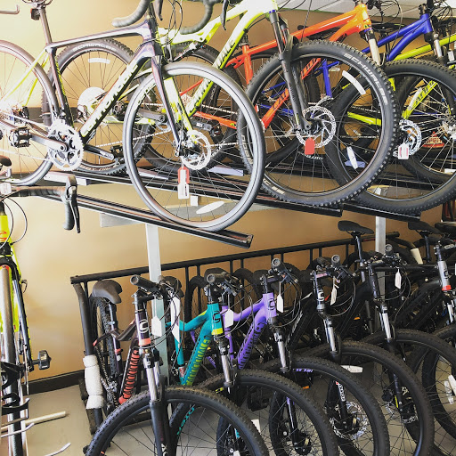 Bicycle Rental Service «Bicycle Hub of Marlboro», reviews and photos, 239 Hwy 79, Morganville, NJ 07751, USA