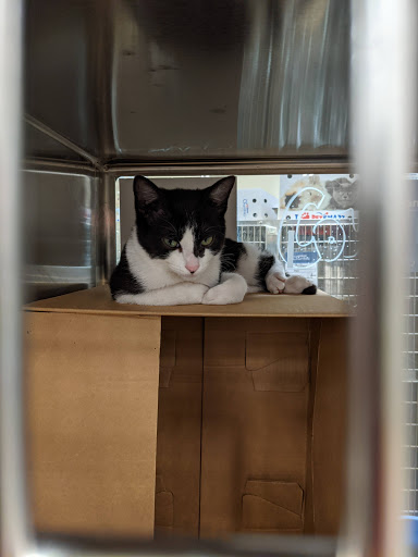 Pet Supply Store «PetSmart», reviews and photos, 13000 Aurora Ave N, Seattle, WA 98133, USA