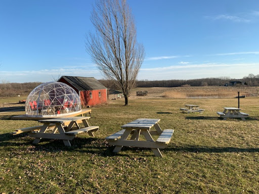 Winery «Black Fire Winery», reviews and photos, 1261 E Munger Rd, Tecumseh, MI 49286, USA