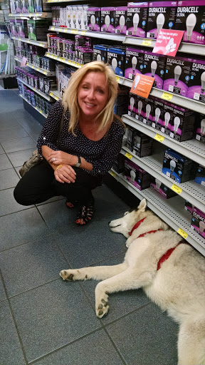 Car Battery Store «Batteries Plus Bulbs», reviews and photos, 2064 4th St, San Rafael, CA 94901, USA