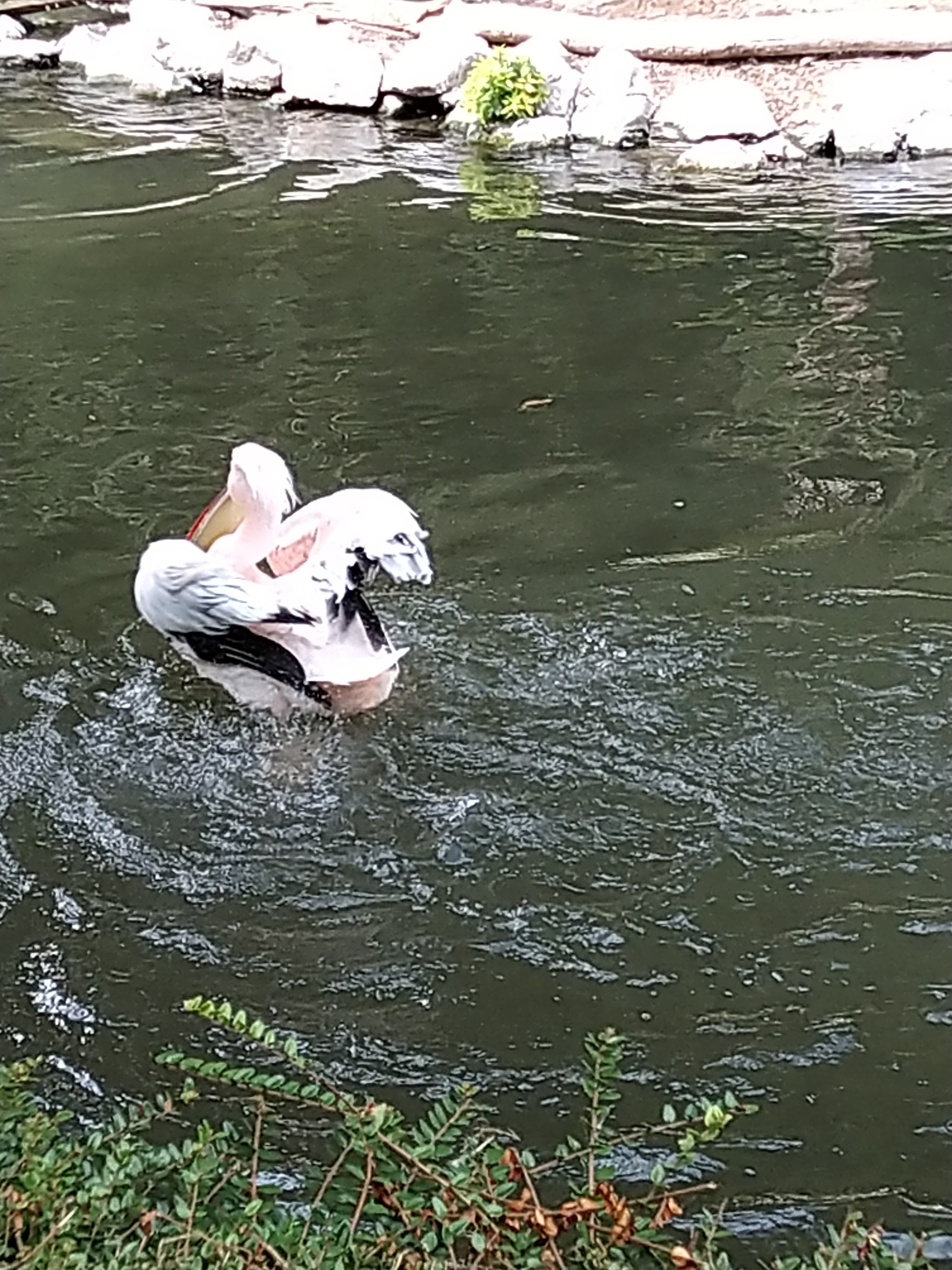 Photo n° 21 de l'avis de HardLoSeDa. fait le 15/08/2019 à 14:36