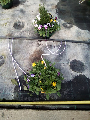Debauges Horticulture à Le Montsaugeonnais