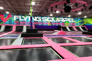 Flying Squirrel Trampoline Park South Calgary image