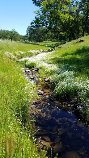 Nature Preserve «Deer Creek Hills Preserve», reviews and photos, Latrobe Rd, Sloughhouse, CA 95683, USA