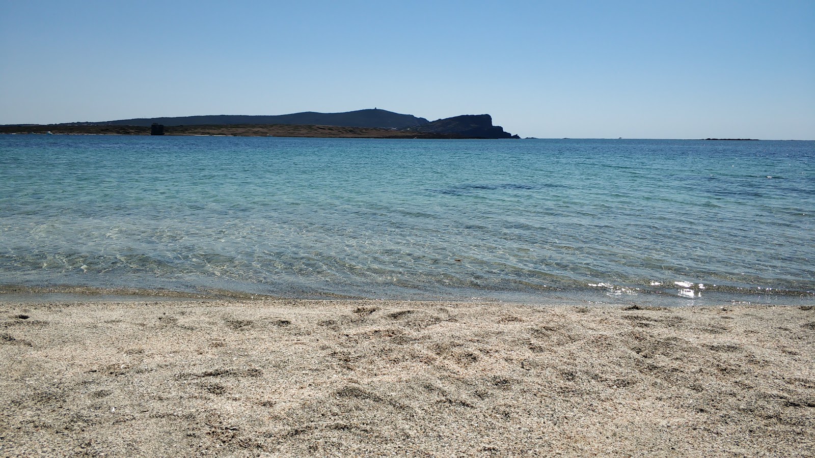 Spiaggia dello Spalmatore all'Asinara'in fotoğrafı vahşi alan