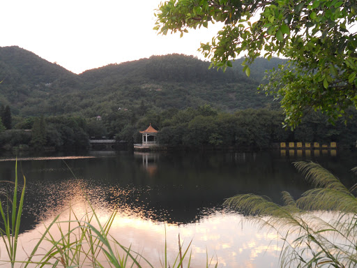 Longyi Mountain Villa