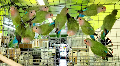 Pet Supply Store «E & M Pet Shop», reviews and photos, 5900 Whittier Blvd, Los Angeles, CA 90022, USA