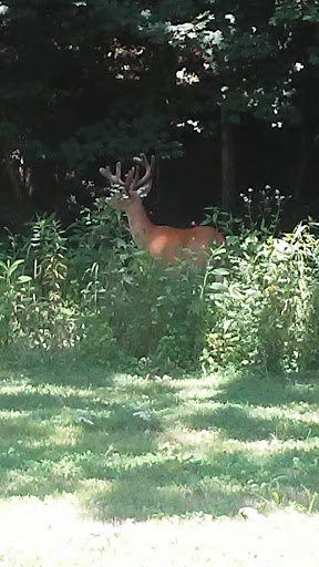 Park «Cherokee Park», reviews and photos, 745 Cochran Hill Rd, Louisville, KY 40206, USA