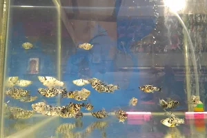 Kaushtubh Fish Aquarium image