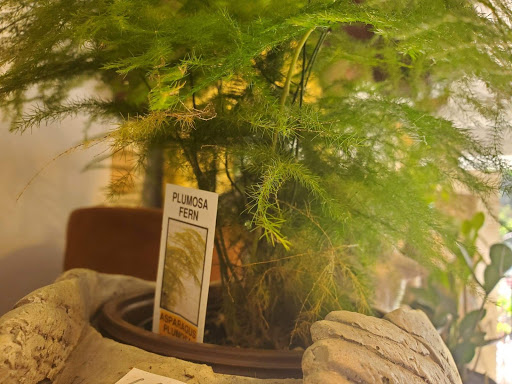 Garden Center «Ivy Corner Garden Center Gift Shop», reviews and photos, 4305 Ivy Rd, Charlottesville, VA 22903, USA