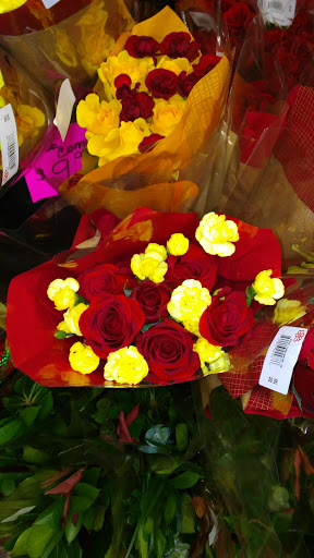 Shopping Mall «Sunrise Plaza Shopping Center», reviews and photos, 656 Wellwood Ave, Lindenhurst, NY 11757, USA