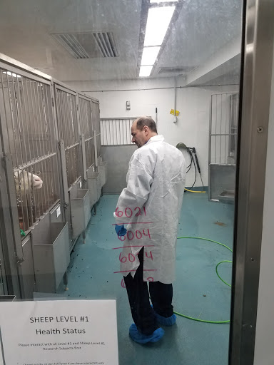 Plumber «RR Plumbing Roto-Rooter», reviews and photos, 1111 Calhoun Ave #5, Bronx, NY 10465, USA