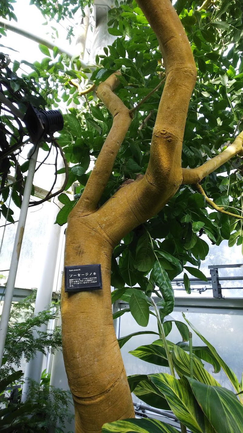 クリスタルパレス 大温室 静岡県浜松市舘山寺町 温室 飲食店 グルコミ