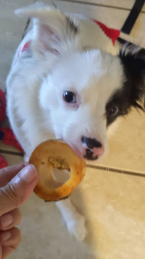 Supermarket «Publix Super Market at Flagler Park Plaza», reviews and photos, 8341 W Flagler St, Miami, FL 33144, USA