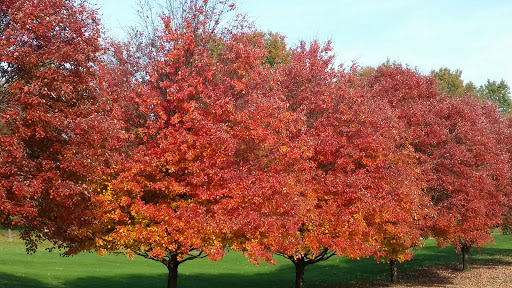 Golf Course «Chippewa Golf Course», reviews and photos, 128 Chippewa Rd, Bentleyville, PA 15314, USA