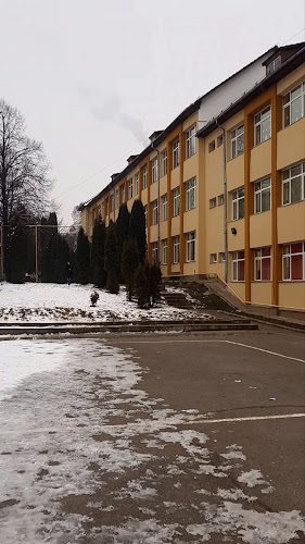 Şcoala Gimnazială Ion Creangă - Școală