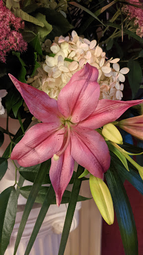 Funeral Home «Nardolillo Funeral Home», reviews and photos, 1278 Park Ave, Cranston, RI 02910, USA