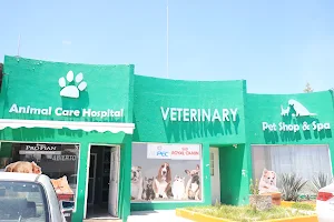 Animal Care Hospital image