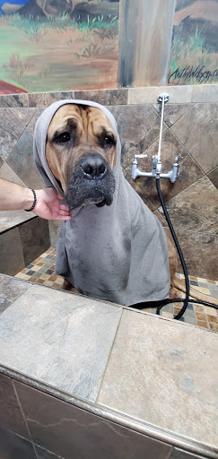 Pet Store «Pet Valu», reviews and photos, 725 River Rd, Edgewater, NJ 07020, USA