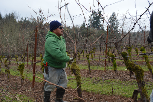 Jp Farm Labor Contracting