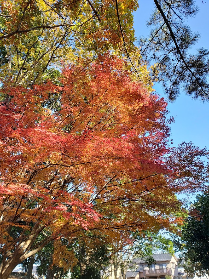 赤坂公園 円形広場