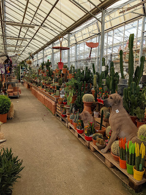 Jardinerie à Forges-les-Bains