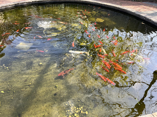 Orchard «The Orchard Shop», reviews and photos, 311 W St Joseph St, Muncie, IN 47303, USA