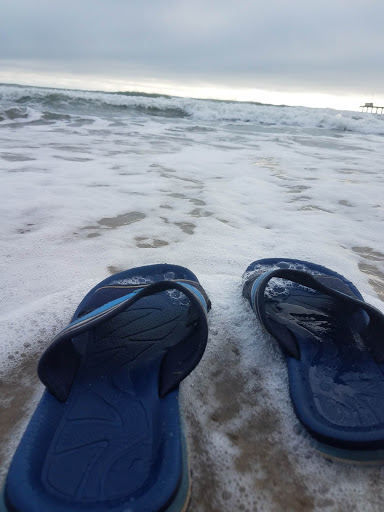 Pet Supply Store «Outer Barks - Water Front Shops», reviews and photos, 1240 Duck Rd, Duck, NC 27949, USA