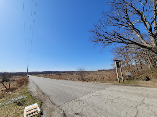 Hiking Area «Cowles Bog Trail», reviews and photos, 1618 N Mineral Springs Rd, Dune Acres, IN 46304, USA
