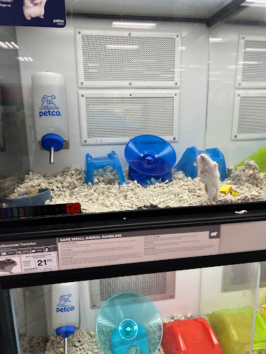 Pet Supply Store «Petco Animal Supplies», reviews and photos, 8111 W Broward Blvd, Plantation, FL 33324, USA