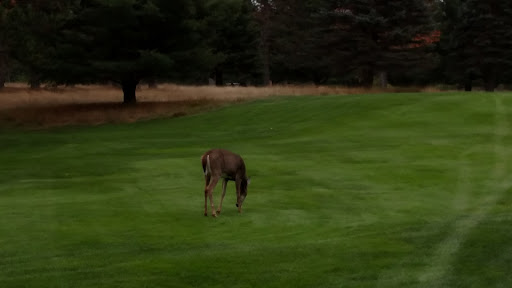 Golf Club «Plum Lake Golf Club», reviews and photos, 3160 Club House Rd, Sayner, WI 54560, USA
