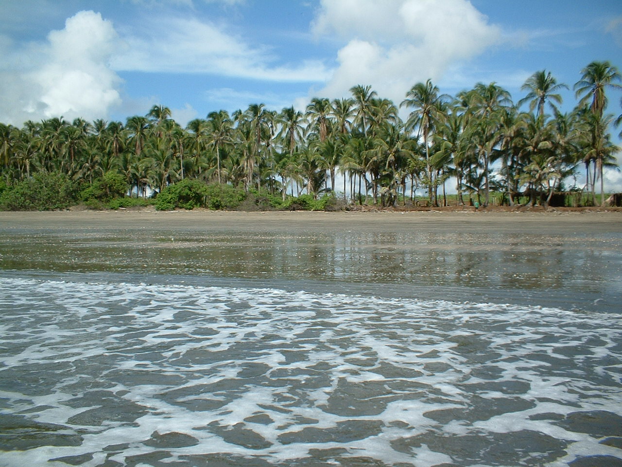 Photo of Candelaria Beach with long straight shore